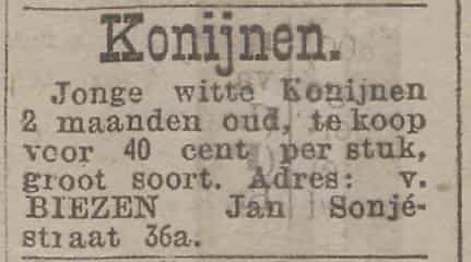 Artikel 'Konijnen' uit  van  dec 