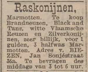 Artikel 'Raskonijnen,' uit Rotterdamsch nieuwsblad van 24 sep 1909
