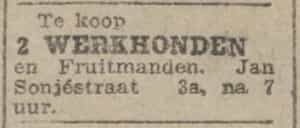Artikel '2 werkhonden' uit Rotterdamsch nieuwsblad van 24 sep 1909
