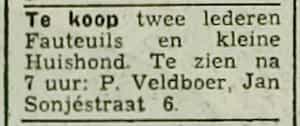 Artikel 'Te koop' uit Rotterdamsch nieuwsblad van 24 sep 1909
